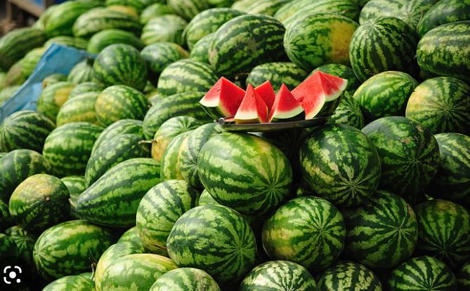 سابقة..سعر “الدلاح” يتخطى كل التوقعات بعد أن تجاوز ثمن الكيلوغرام الواحد 46 درهما