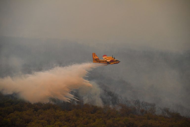 حريق مهول يشتعل في غابة “عين حمراء” بضواحي طنجة واستدعاء طائرات “الكنادير” للمساعدة.