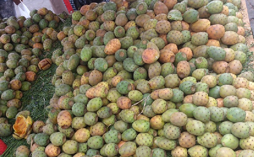 هذه اسباب تراجع العرض من التين الشوكي بالمغرب