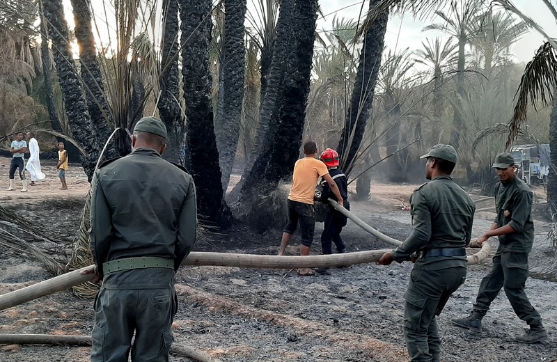 وزير الداخلية يكشف حصيلة حرائق الواحات