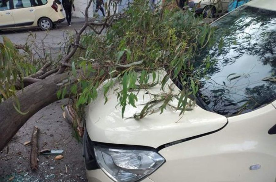 تطوان: رياح قوية تتسبب في سقوط أشجار وانهيارات منزلية وتعليق الدراسة