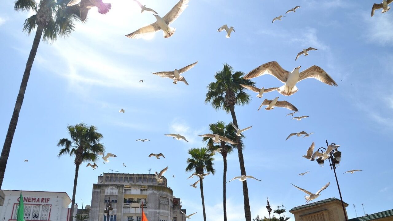 أحوال الطقس غدا الأربعاء… أجواء حارة نسبيا في العديد من مناطق المغرب