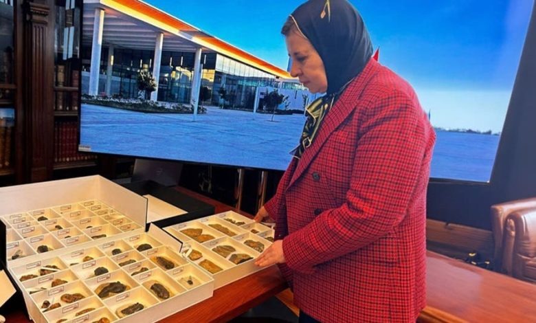 المغرب يستعيد من الشيلي 117 قطعة أحفورية.