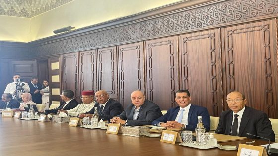 رفع تعويضات الحرفيين و تخصيص منح للشباب ببرنامج التكوين بالتدرج المهني محور مداخلة السيد عبدالمالك البوطيين خلال اجتماع المجلس الوطني للصناعة التقليدية.