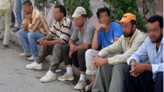 لقجع: دعم المقاولات الصغيرة هو الحل الحقيقي لمعالجة البطالة وليس خفض الضرائب