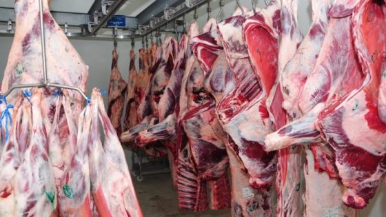 مكتب “أونسا” يجيب على سؤال هل اللحوم المستوردة حلال؟
