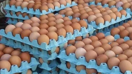 ارتفاع قياسي في أسعار البيض بالمغرب يثقل كاهل المواطنين