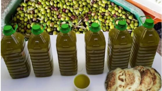 واردات زيت الزيتون ترتفع بأكثر من 200% وسط أزمة إنتاج وارتفاع الأسعار بالمغرب