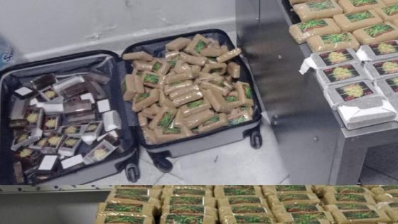 إحباط محاولة تهريب حقائب مليئة بالحشيش بمطار طنجة.