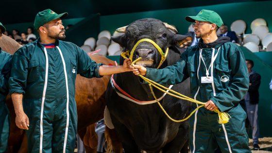 تتويج الفائزين في مسابقات أحسن رؤوس الماشية بالملتقى الدولي للفلاحة بالمغرب 2025