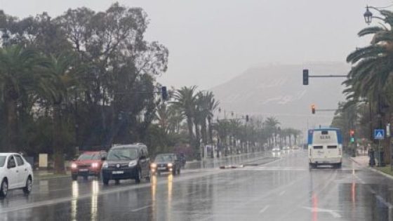 نشرة إنذارية: رياح قوية وزخات رعدية وبَرَد بعدد من مناطق المملكة