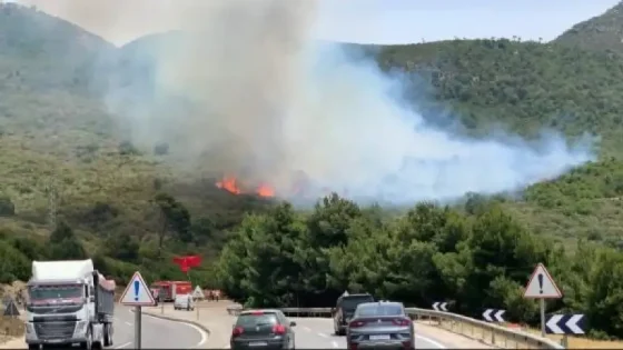 حريق غابوي مهول يلتهم 15 هكتاراً بعين لحصن وتعبئة واسعة لإخماده وسط ظروف مناخية صعبة