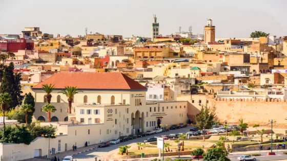 تنظيم مهام السنديك بالمغرب : خطوة تشريعية لتعزيز حكامة معالجة صعوبات المقاولة.