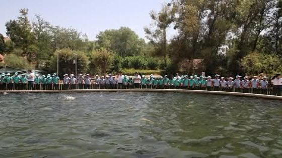 حادث مخيم رأس الماء…الجامعة الوطنية للتخييم: سلامة الأطفال خط أحمر ولا تساهل مع السلوكات المنحرفة