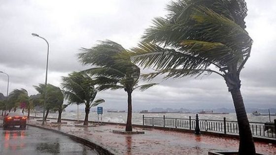 تعليق الدراسة يوم غد الثلاثاء بالقنيطرة