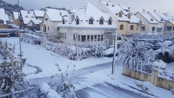 إفران تخطف قلوب جماهير «كان 2025» وتتحول إلى أيقونة سياحية على هامش البطولة