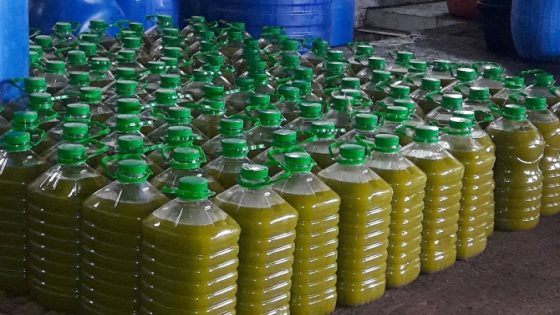 تراجع كبير في أسعار زيت الزيتون.