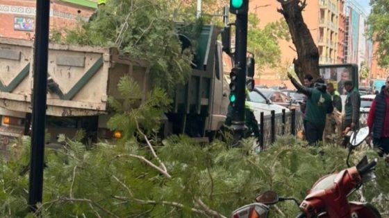 رياح قوية تتسبب في سقوط أشجار وسط مراكش.