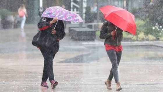 تعليق الدراسة بجميع المؤسسات التعليمية العمومية والخاصة يوم غد الاثنين بعمالة طنجة أصيلة