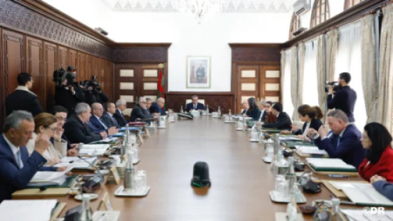 مجلس الحكومة يصادق على مشروع قانون يتعلق بتشجيع المنشآت التي تقوم بتدريب الحاصلين على بعض الشهادات قصد التكوين من أجل الإدماج