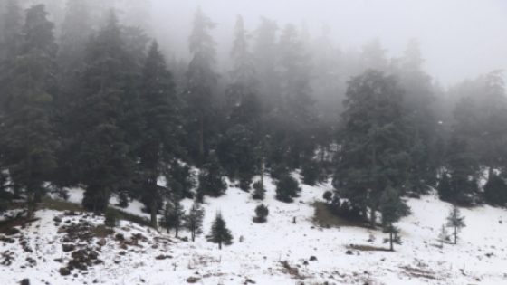 رياح عاصفية قوية وتساقطات ثلجية وزخات رعدية وطقس بارد من الإثنين إلى الأربعاء بعدد من مناطق المملكة