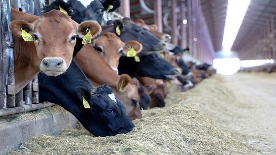 وزير الفلاحة يؤكد السيطرة على “السل البقري”.