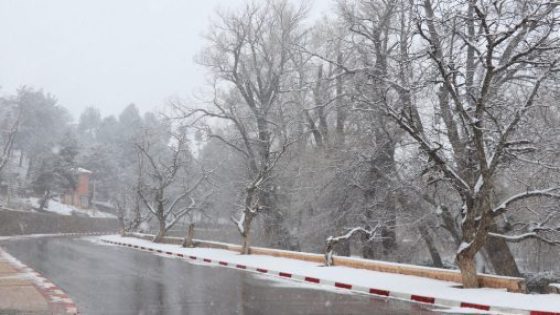 (نشرة إنذارية) تساقطات ثلجية مرتقبة من الثلاثاء إلى الأربعاء بعدد من مناطق المملكة