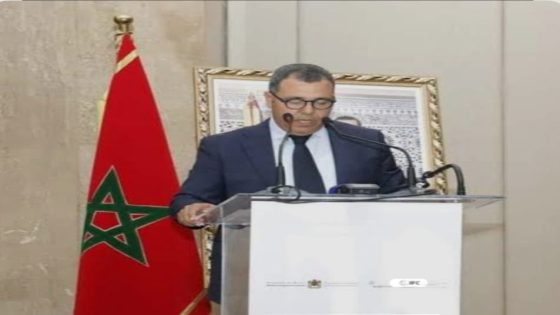 رهان الكفاءة الاقتصادية في تجديد النخب السياسية : ترشيح أنس الأنصاري نموذجا لتنمية مستدامة صاعدة في مكناس .