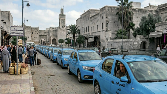 إطلاق حصة جديدة من الدعم المقدم لمهنيي النقل الطرقي مع الرفع من قيمته بـ 25 بالمائة