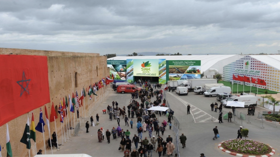 الليلة الأخيرة قبل إنطلاق “السيام”: استنفار بمكناس وسماسرة “الفيسبوك” يربكون المشهد