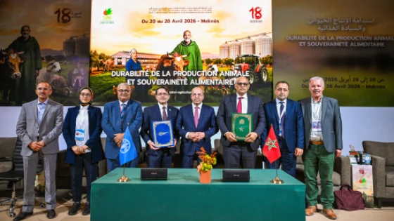 بمكناس.. وزارة الفلاحة و”الفاو” يوقعان اتفاقية لصون التراث الزراعي المغربي.