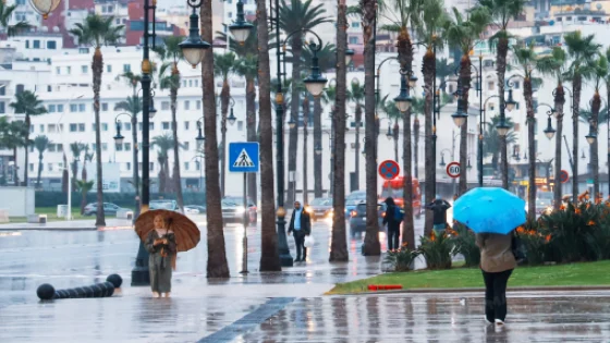 (نشرة إنذارية) زخات رعدية محليا قوية مع تساقط البرد يومي الجمعة والسبت بعدد من مناطق المملكة