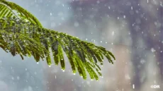 نشرة إنذارية زخات رعدية قوية مع هبات رياح وتساقط البرد يومي الإثنين والثلاثاء بعدد من مناطق المملكة