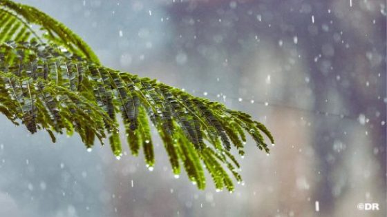 توقعات أحوال الطقس لليوم الأربعاء